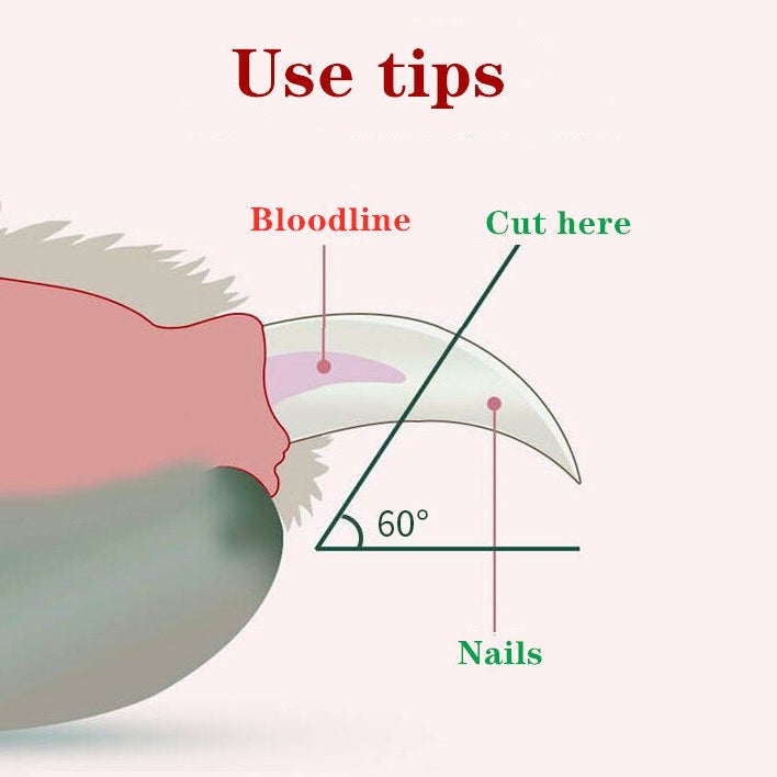 Led Light Pet Nail Clipper